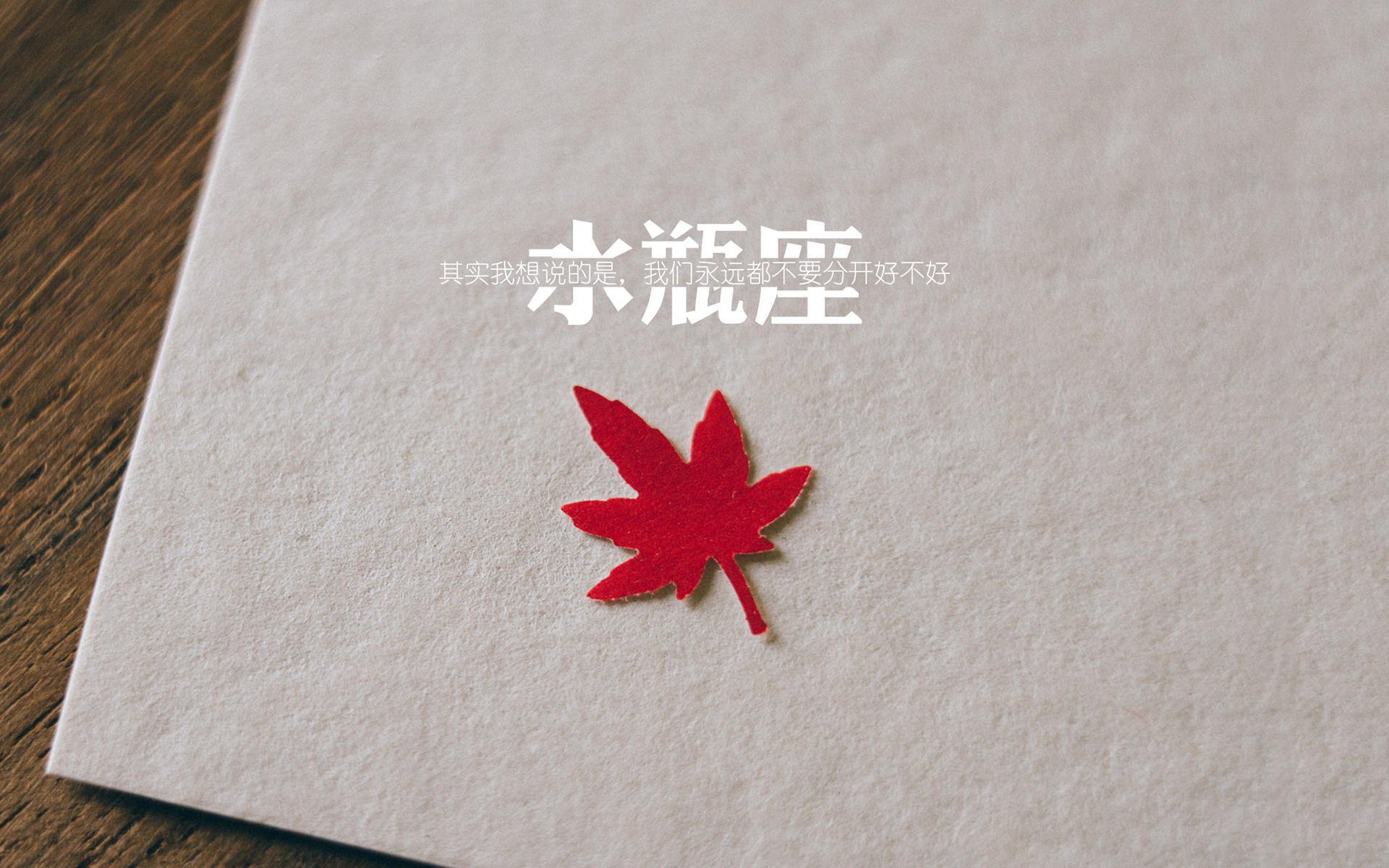 澳网热身赛的希腊风暴,西西帕斯横扫联合杯,独木成林的领袖之路