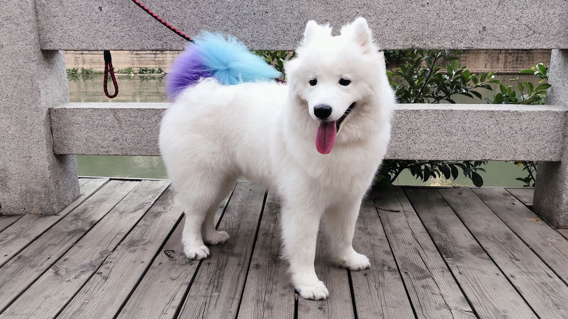 森林狼轻取尼克斯的背后攻防节奏，与油门全开的F1年度争冠接管