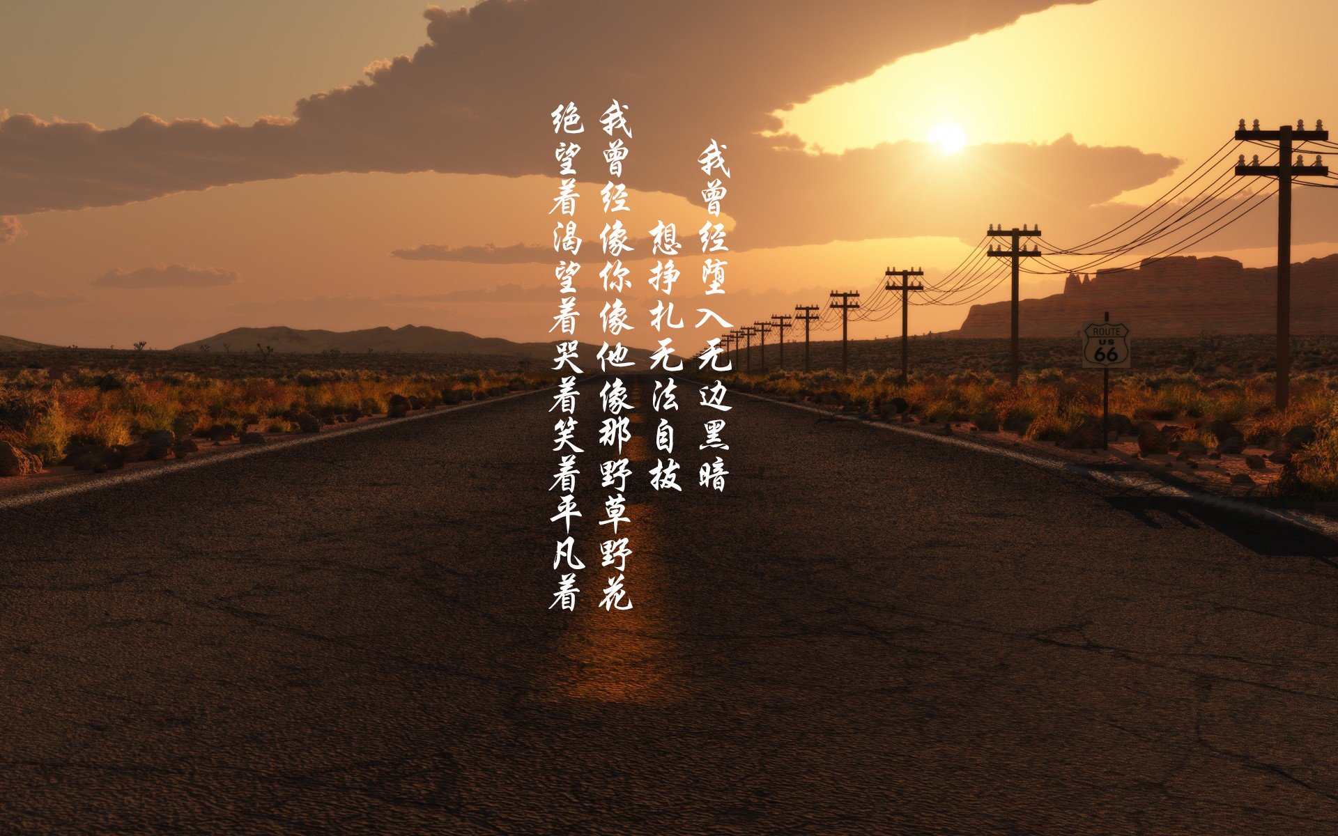 绿色狂潮中的一抹红，德罗赞的北岸花园之夜