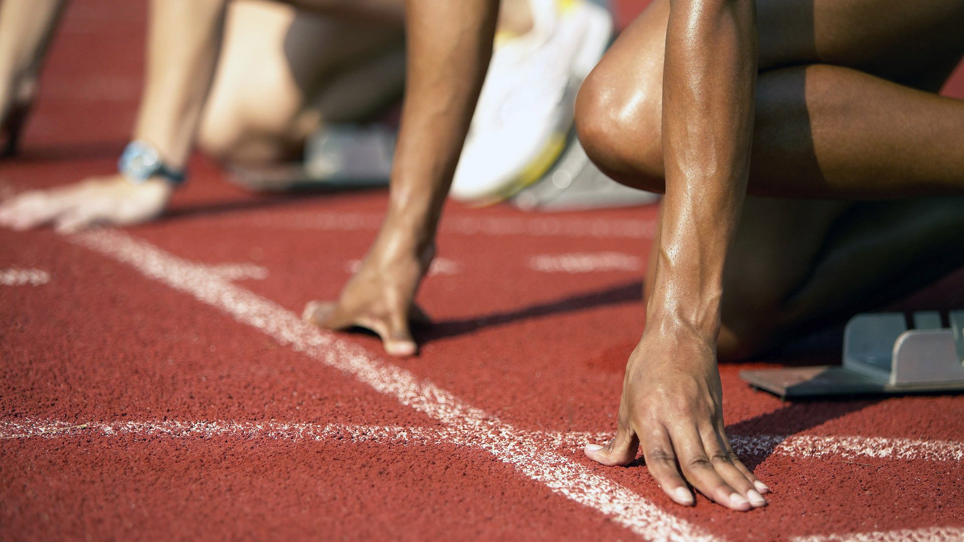 绿色狂潮中的一抹红，德罗赞的北岸花园之夜