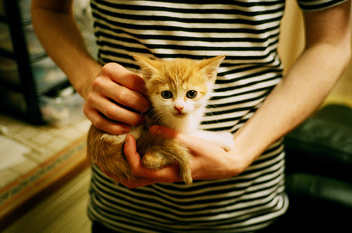 一剑封喉！米切尔终场前1.7秒极限抛投绝杀，尼克斯窒息时刻逆转奇才