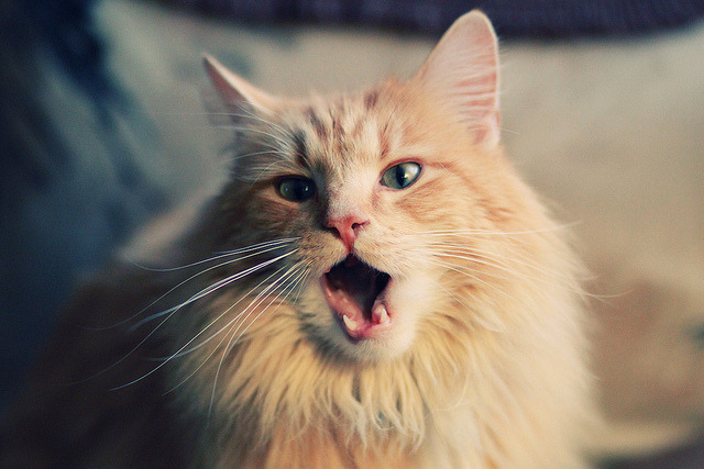 绿茵场上的持球大核，当欧冠半决赛之夜被哈登式哲学主宰