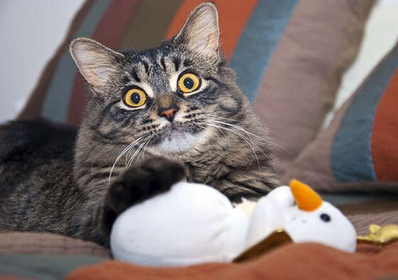 当德甲争冠战遇上希腊方阵,巴萨的战术铁幕与足球地理学