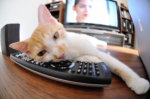 格列兹曼的即兴艺术与比利时的精密仪器,一场战术美学的两极对话