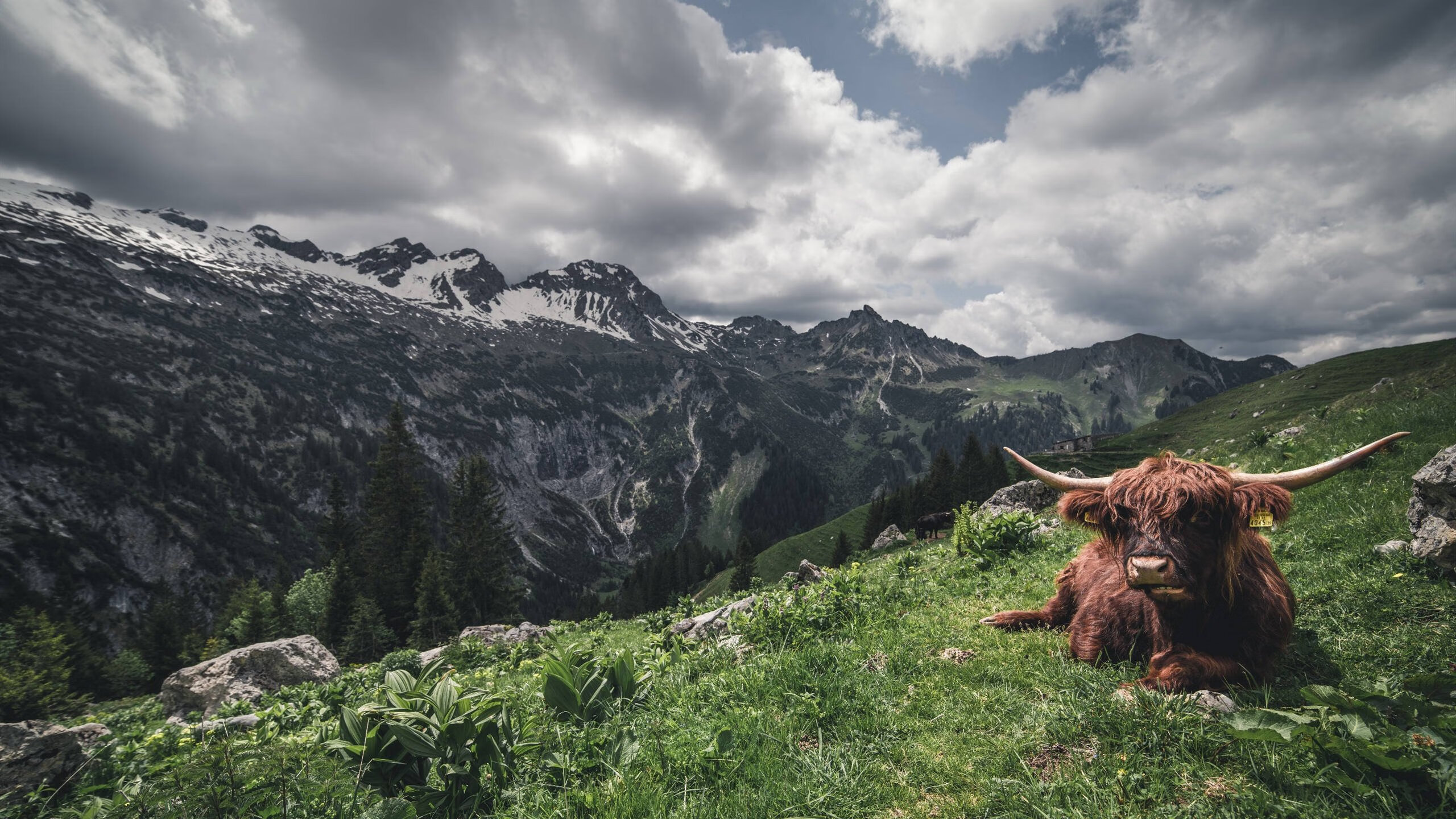 宿敌暗巷,背水英雄,当贝恩化身斯巴达克斯撕裂公牛铁阵