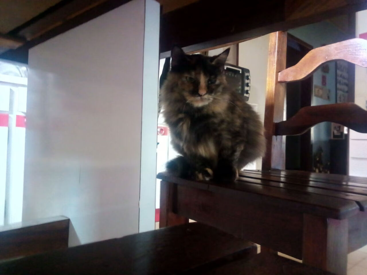 雪山黑马逆袭南美雄鹰，阿什拉夫一球定乾坤，瑞士爆冷启示录