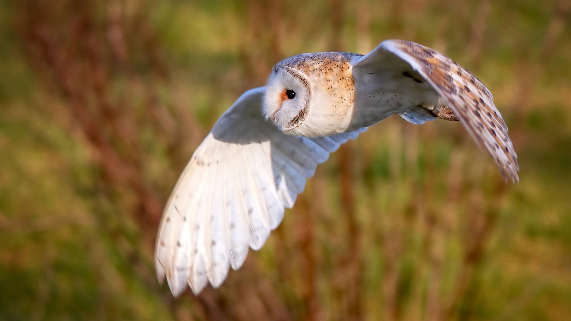 末节神迹,拉什福德于华沙雨夜接管比赛—当世界杯决赛在波兰与南非之间上演