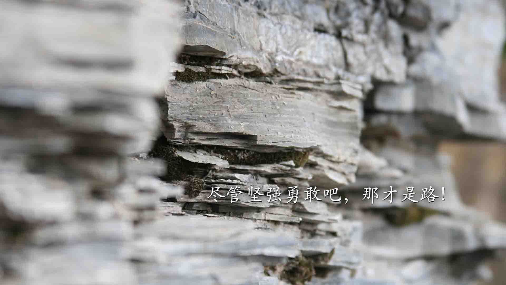 冰与火的对决，当托尼冰墙锁死日本足球的进攻哲学