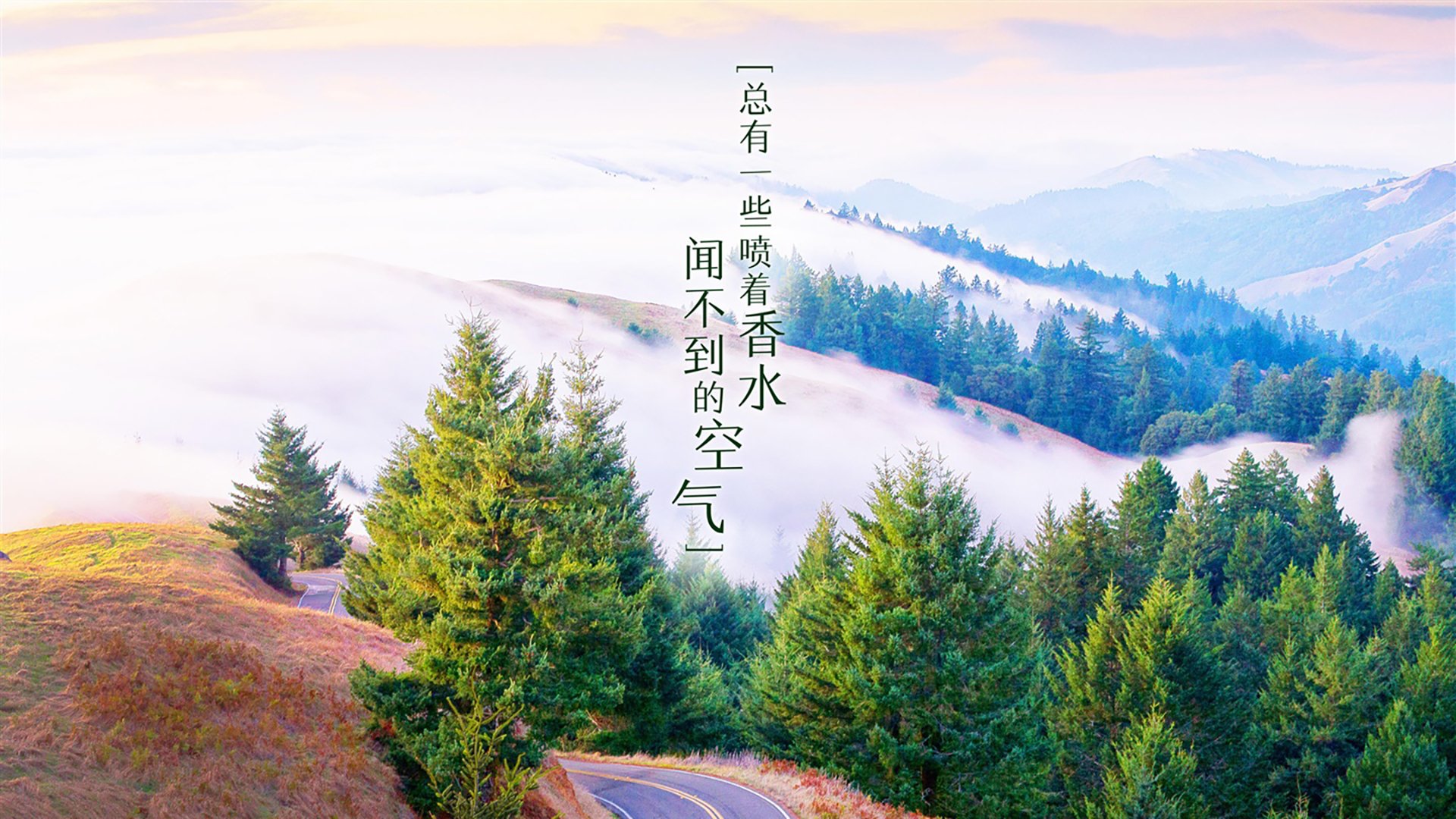 奇迹与遗憾,2026世界杯H组,美国险胜巴西,奥斯梅恩成暗夜孤星