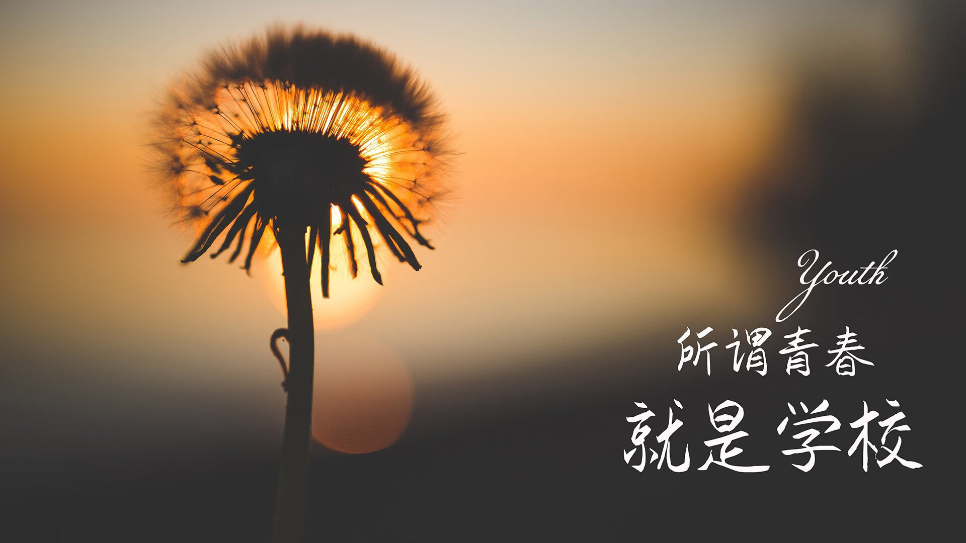 这是一篇基于您提供的核心关键词(2026世界杯E组、波兰击败葡萄牙、拉什福德致命一击)创作的文章。文章构建了一个充满戏剧性、战术博弈和情感张力的平行宇宙